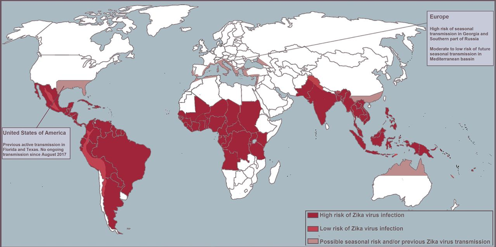 Whats New about Zika Virus Infections - Zika Map 