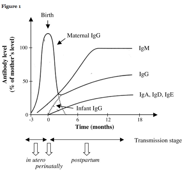 Figure 1: Infant Antibody Levels Over the First 18 Months of Life