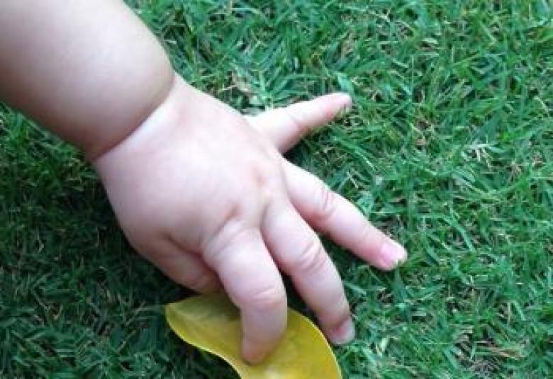 Baby Hand in grass