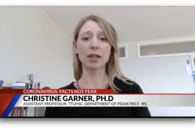 Pregnancy and Postpartum During Covid Pandemic Screenshot